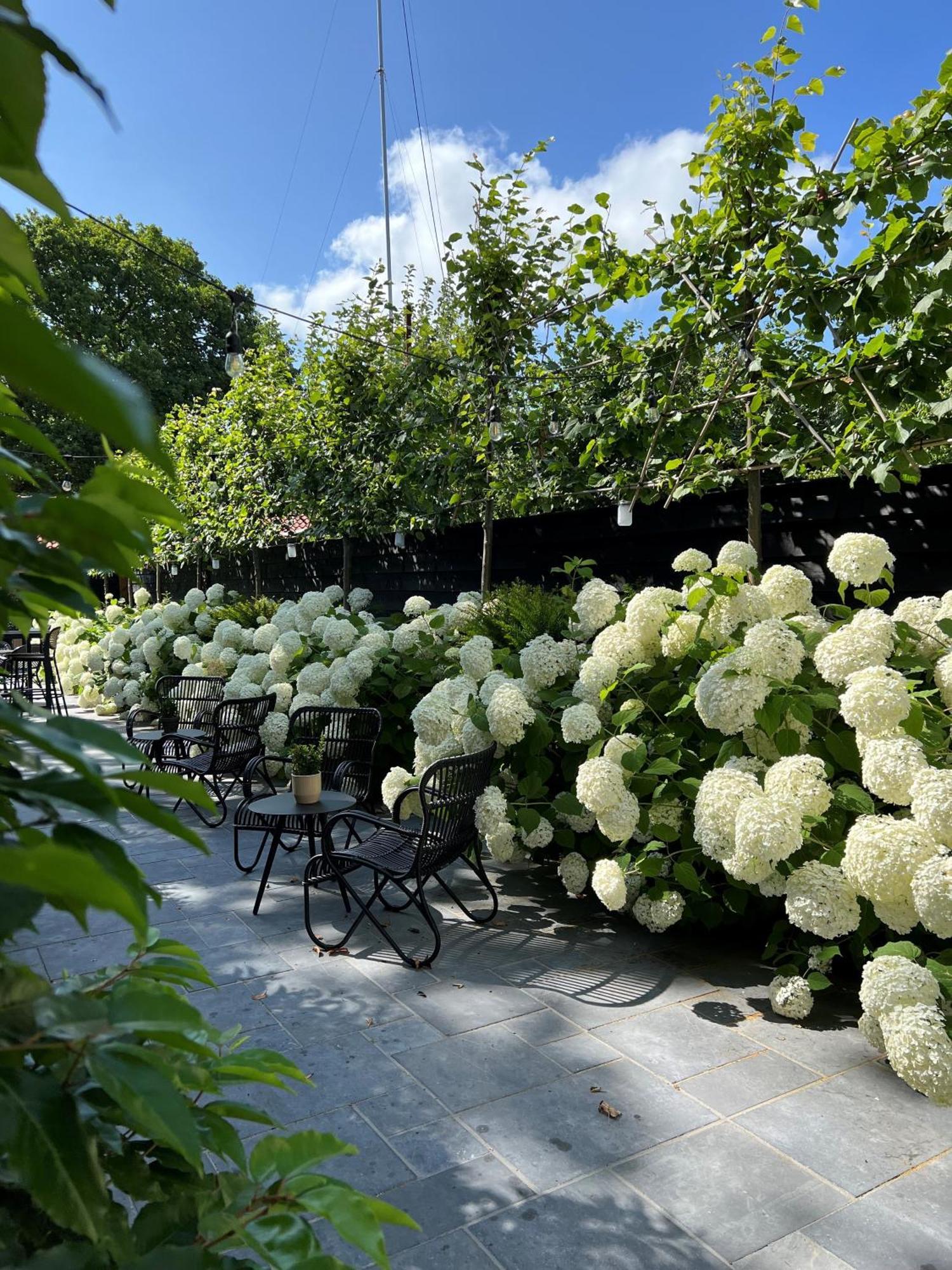 Poorter Boutique Hotel Brielle Eksteriør bilde